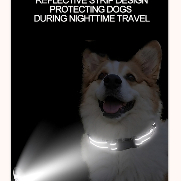 Reflective Pet Collars - Multiple Colors & Sizes Available - Picture 3 of 16